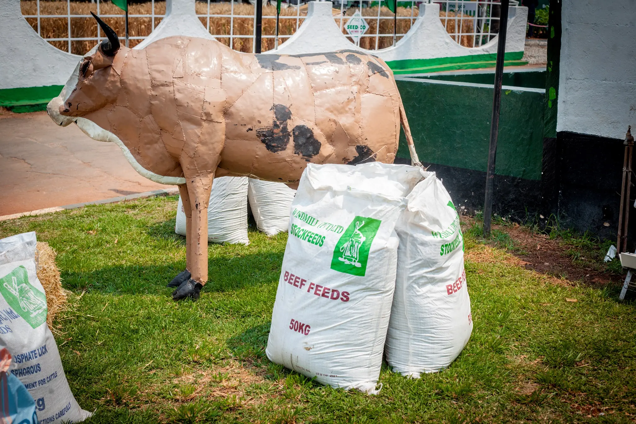 468141987_2227934467576297_8056973552539124078_n