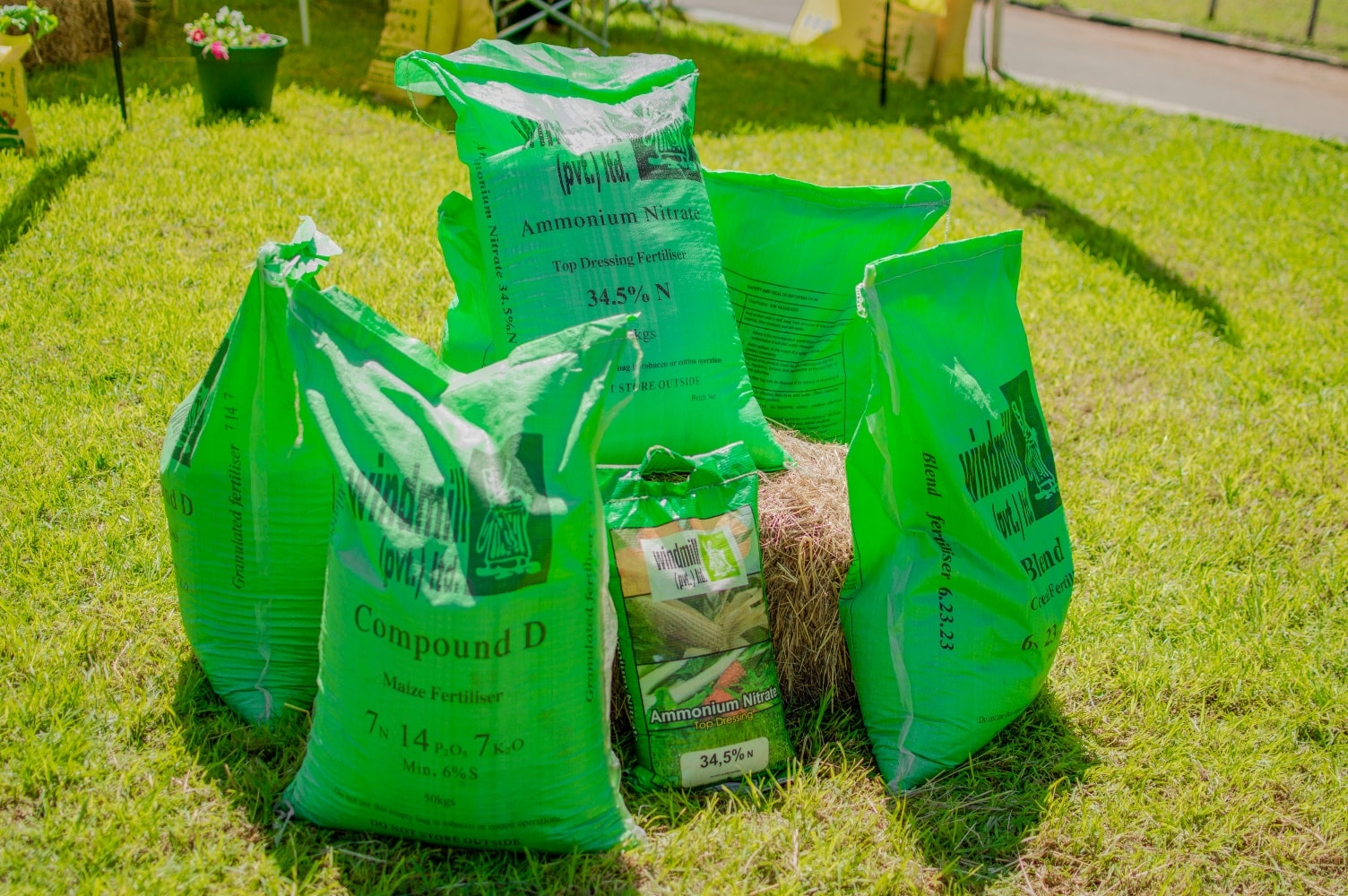 472910807_2263527044017039_3236716295686704667_n