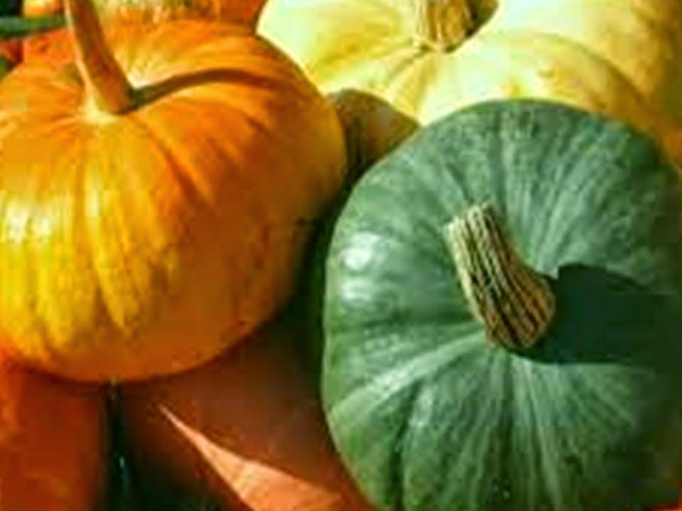Simple guidelines to pumpkin production