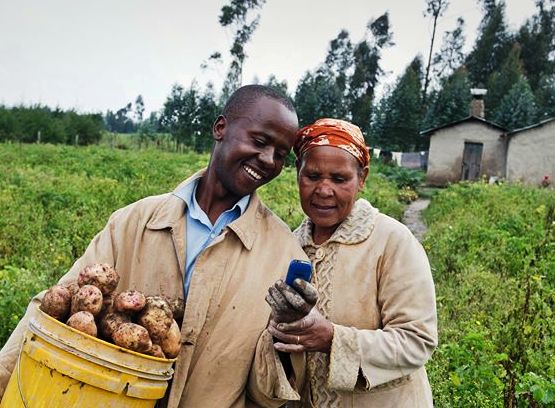 Youth must embrace farming as a business (Part one)